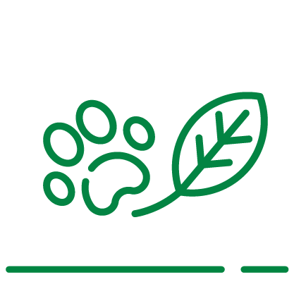 Lauko baldai, technika ir įranga