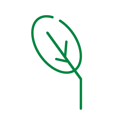 Integrating sustainability into business operations