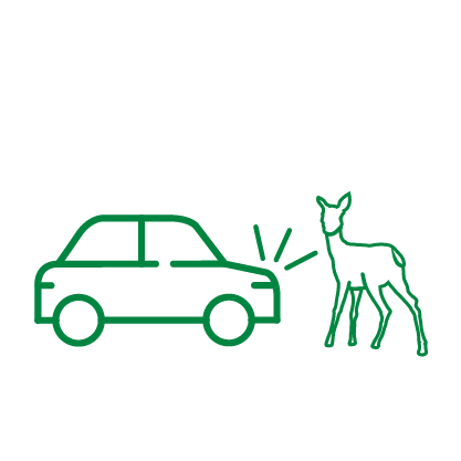 Does not apply to collisions with animals